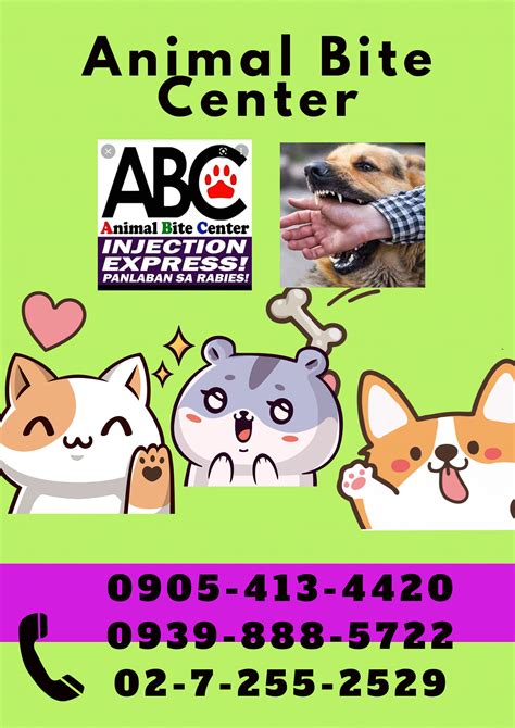 free animal bite center pampanga|San Fernando City Pampanga ABC Animal Bite Center .